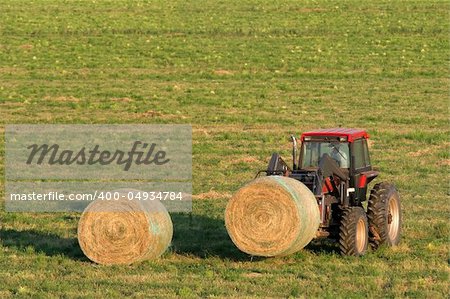 farmer moving fresh bales of hay with his tractor