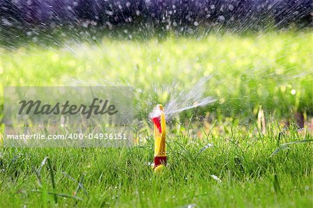 Water sprinkler on green lawn