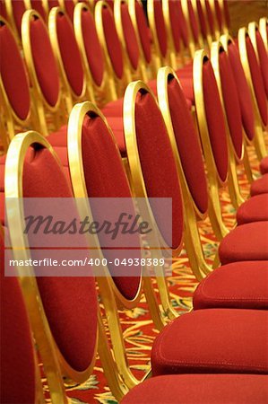 Open Seating at an Auditorium Concert Event