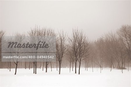 Misty winter landscape sepia toned. Retro look