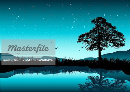 A beautiful evening scene with a tree by a lake; stars in the sky.
