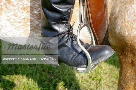 A view of an equestrian boot