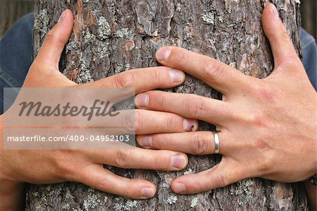 Hands hugging a pine tree