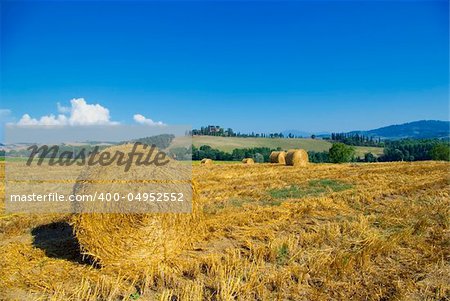 golden hayfield in a bright blue sky in chianti, tuscany