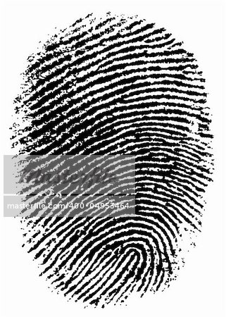 Black and White Vector Fingerprint - Very accurately scanned and traced ( Vector is transparent so it can be overlaid on other images, vectors etc.)