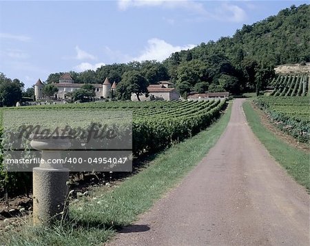 vineyard parnac lot valley midi pyrenees near cahors france europe