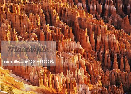 Hodoos in Bryce Canyon National Park