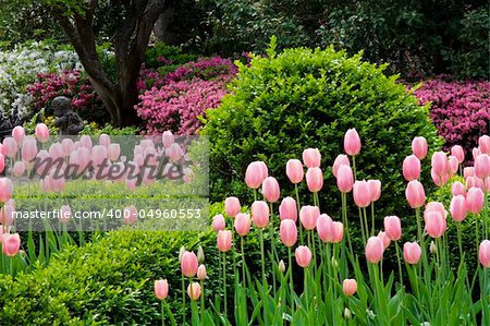 Beautiful gardens of the Nathaniel Russell House in Charleston South Carolina