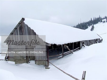 house in the winter forest. Wery big snow