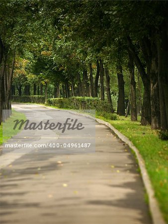 Lonely avenue in autumn park
