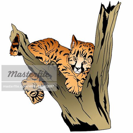 Leopard 2 - coloured cartoon illustration as vector - Leopard Puppy on branch