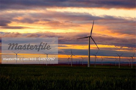 Windfarm along the Columbia River at sunrise.