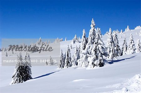 winter view of snow covered mountain and trees
