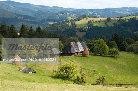 Summer mountainous green glade with small country estate  (Slavske village, Carpathian Mts, Ukraine).