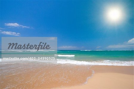 Beautiful ocean beach in summer