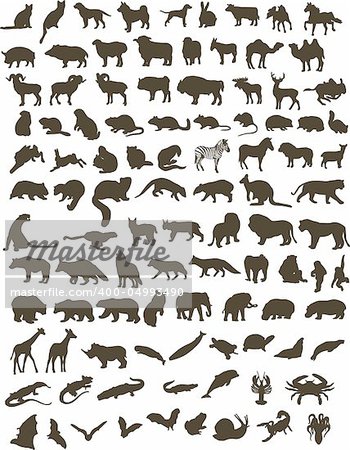 100 black silhouettes of different animals