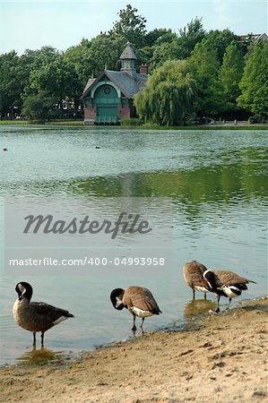 Dana Discovery Center overlooking   Harlem Meer in Central Park, New York. ducks in foreground