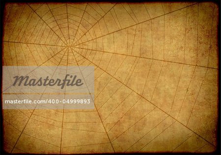 Grunge background of brown color, with web