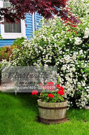 Landscaped front yard of a house with flowering garden