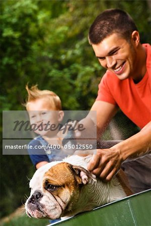 Caucasian father and toddler son giving  English Bulldog a bath outdoors.
