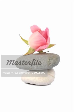 Two stones one on another in balance and a rose on top. Isolated on white.