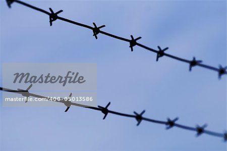 Barb wire close up