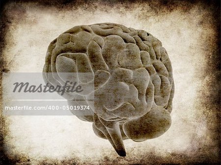 3d rendered illustration of an old paper with a human brain