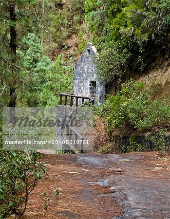 Stone house hidden in the middle of the forest