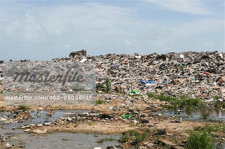 Illegal dumping can be a big problem for many countries. It causes water pollution and a terrible smell