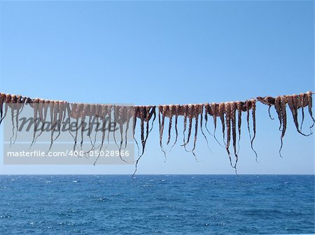 Octopuses drying on the string on a Greek island