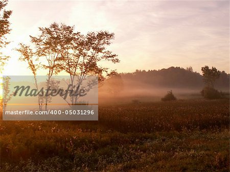 sunrise with fog over a field