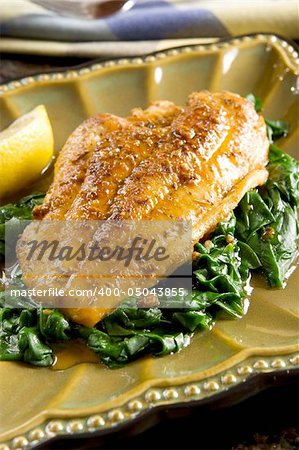 Spiced catfish fillet on a bed of spinach