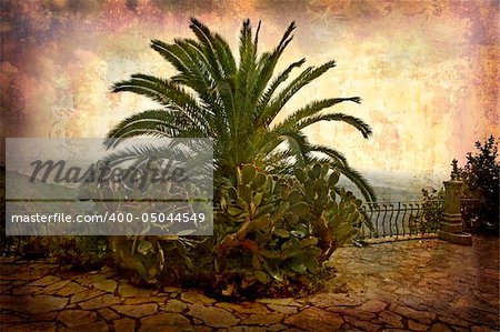 Artistic work of my own in retro style - Postcard from Italy. - Palm and cactus - Tuscany.