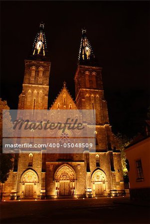 Gothic cathedral in Prague in  the night