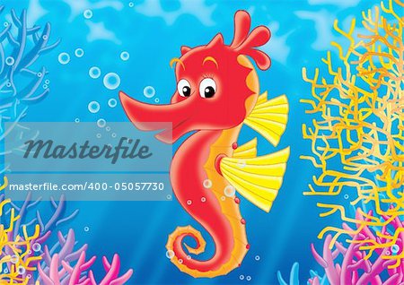 sea horse, sea-horse, hippocampus, coral reef, coral, Aquarium, seaweed, sea, ocean, underwater, water, marine, wild, wildlife, tropic, tropical, exotic, reef, life, summer, Natural, zoological, zoo, animal, sunny, picture, Children, Illustration, animated, Fairy-tale, character, cheerful, fun, comics, joke, ridiculous, childhood, toys, joyful, nature, clip-art, scrapbook, humor, Smile, funny, art