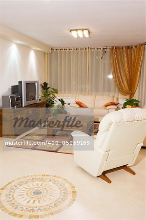 Living room, suite of soft furniture, modern interior, feng-shui style