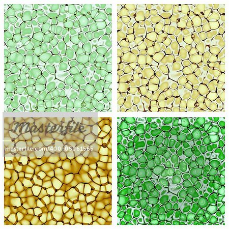 biology cellulate texture backgrounds set (CG)