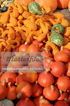 Pumpkins assortment - red, green, orange