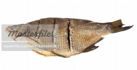 isolated stockfish bream on white background