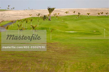 Exotic golf course with palms