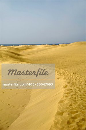 Landscape with sand dunes and people and ocean in the background.