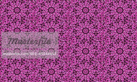 background/ tile based on a lobelia photo and with kaleidoscopic effect background/ tile based on a lobelia photo and with kaleidoscopic effect