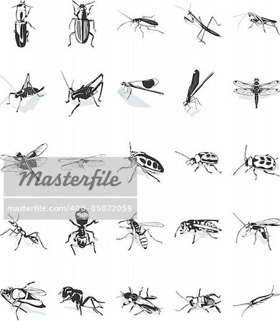 Twenty smooth vector clipart illustration of various insects Twenty smooth vector clipart illustration of various insects