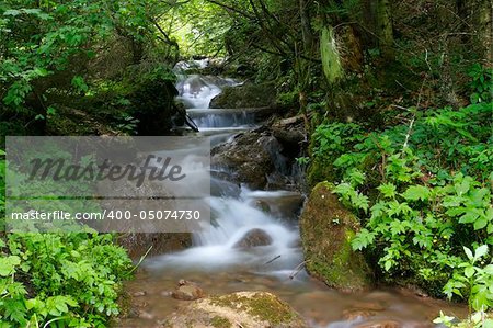Mountain river with small waterfalls trough the forest