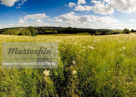 The grounds of a country estate