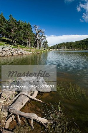 Lagoon of the sticks, Neila's lagoons, Burgos (Spain)