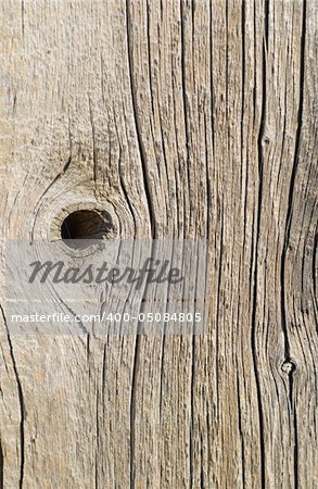 textured surface of board with a twig