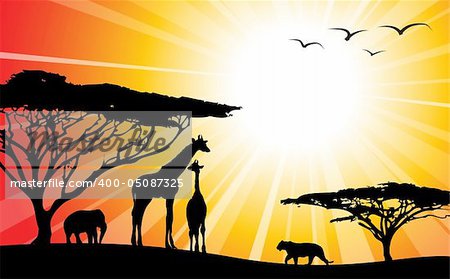 Africa / safari - silhouettes of wild animals in twilight
