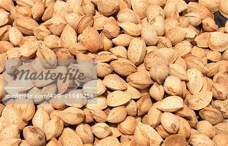 frech brown almond background from the tunisia