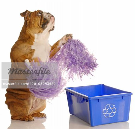 dog standing up with pompoms encouraging recycling - please recycle